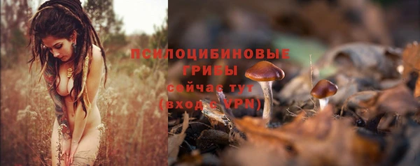 2c-b Богородск