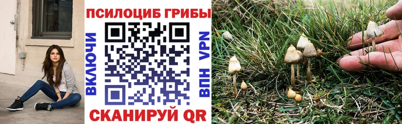 сколько стоит  Вуктыл  Галлюциногенные грибы ЛСД 